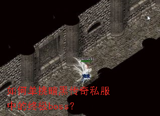 ��ε������ڴ���˽���е��ռ�boss��