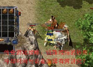 ������Ϸ���ԣ������ָ�����á���ȴʱ����װ��ѡ���кν�����