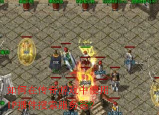 ����ڴ�����Ϸ��ʹ��IP���������������