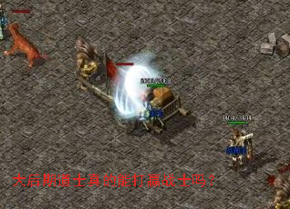 ����ڵ�ʿ����ܴ�Ӯսʿ��