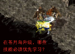 �ڲ��µ���������Щ���ܱ�������ѧϰ��