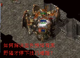 ��ν����ɫ���к�Ұ����ͣ�¼������⣿