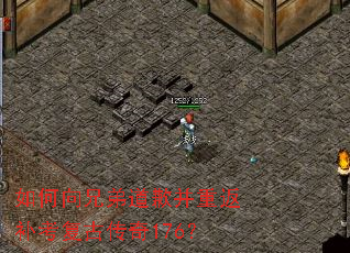 ������ֵܵ�Ǹ���ط��������Ŵ���176��