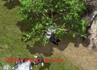 ���滳�ɰ����������죿