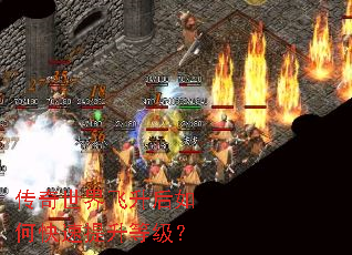 ���������������ο��������ȼ���