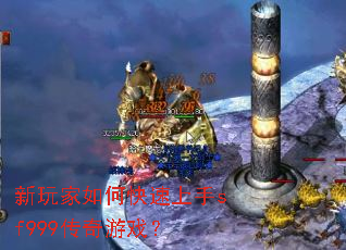 �������ο�������sf999������Ϸ��