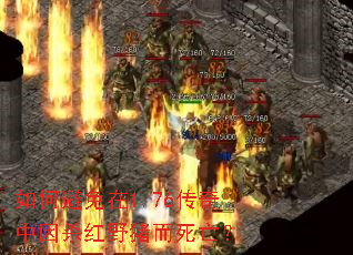 ��α�����1.76��������ɱ��Ұ����������