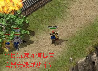 ƽ��������������������ɹ��ʣ�