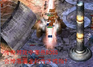 ������Ϸ����ЩBOSS����������ʹ��ͽ�ָ��