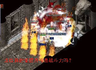 �����������������ս������