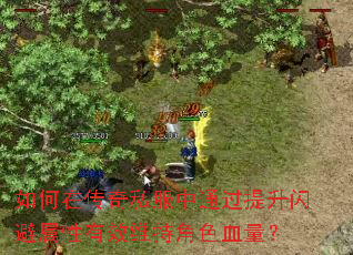 ����ڴ���˽����ͨ����������������Чά�ֽ�ɫѪ����