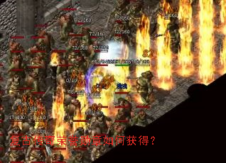 ���Ŵ�������ѫ����λ�ã�