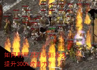 ������õ����и���������300%��������