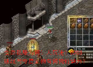 ��̬˽��Ϊ�����˳��ԣ�BOSS��ս��ר�������кζ���������