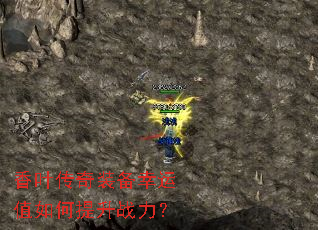 ��Ҷ����װ������ֵ�������ս����