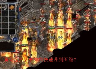 ��������������ο��������弶��