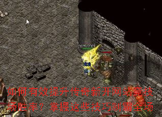 �����Ч���������¿���վ������ʤ�ʣ�������Щ�����ư�ȫ��