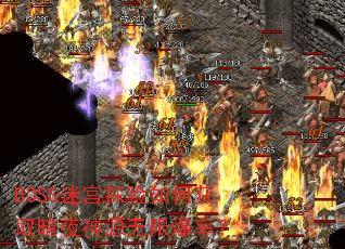 BOSS�Թ�̽����λ�ȡ��ҹ��Դ���ޱ��ʣ�