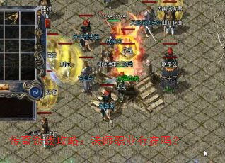 ������Ϸ���ԣ���ʦְҵ������