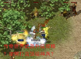 �������������������ԣ���δ��춥�������