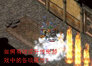 �����Ч����������Ϸ�еĸ������ԣ�