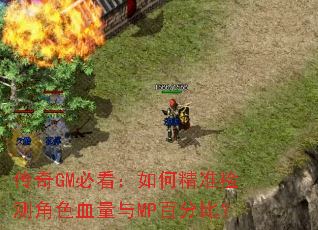 ����GM�ؿ�����ξ�׼����ɫѪ����MP�ٷֱȣ�