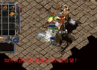 ��ο����ҵ��������ǵľ�������